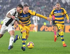 关于帕尔马锋线欠缺火力，急需寻求解决方案的信息