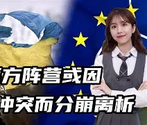 国米新援表现稳定，或将成为球队中流砥柱的简单介绍