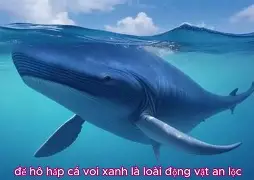 关于朝鲜球队备战全球比赛,尽展球技的信息 关于朝鲜球队备战全球比赛,尽展球技的信息