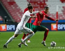 c7c7.app-捷克队在欧预赛中雄风锐不可挡，胜势如破竹的简单介绍
